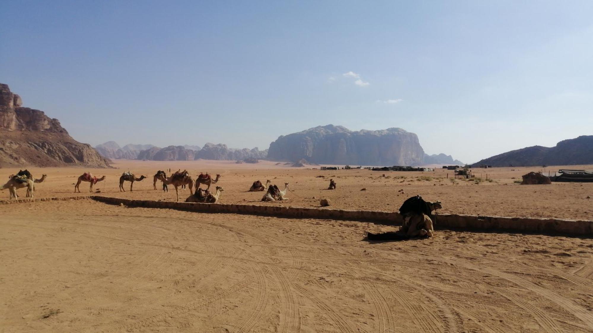 Hotel Omar Ghazi Camp Wadi Rum Exterior foto