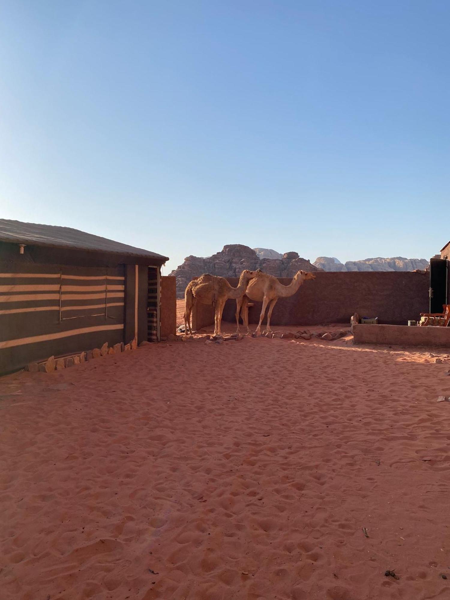 Hotel Omar Ghazi Camp Wadi Rum Exterior foto