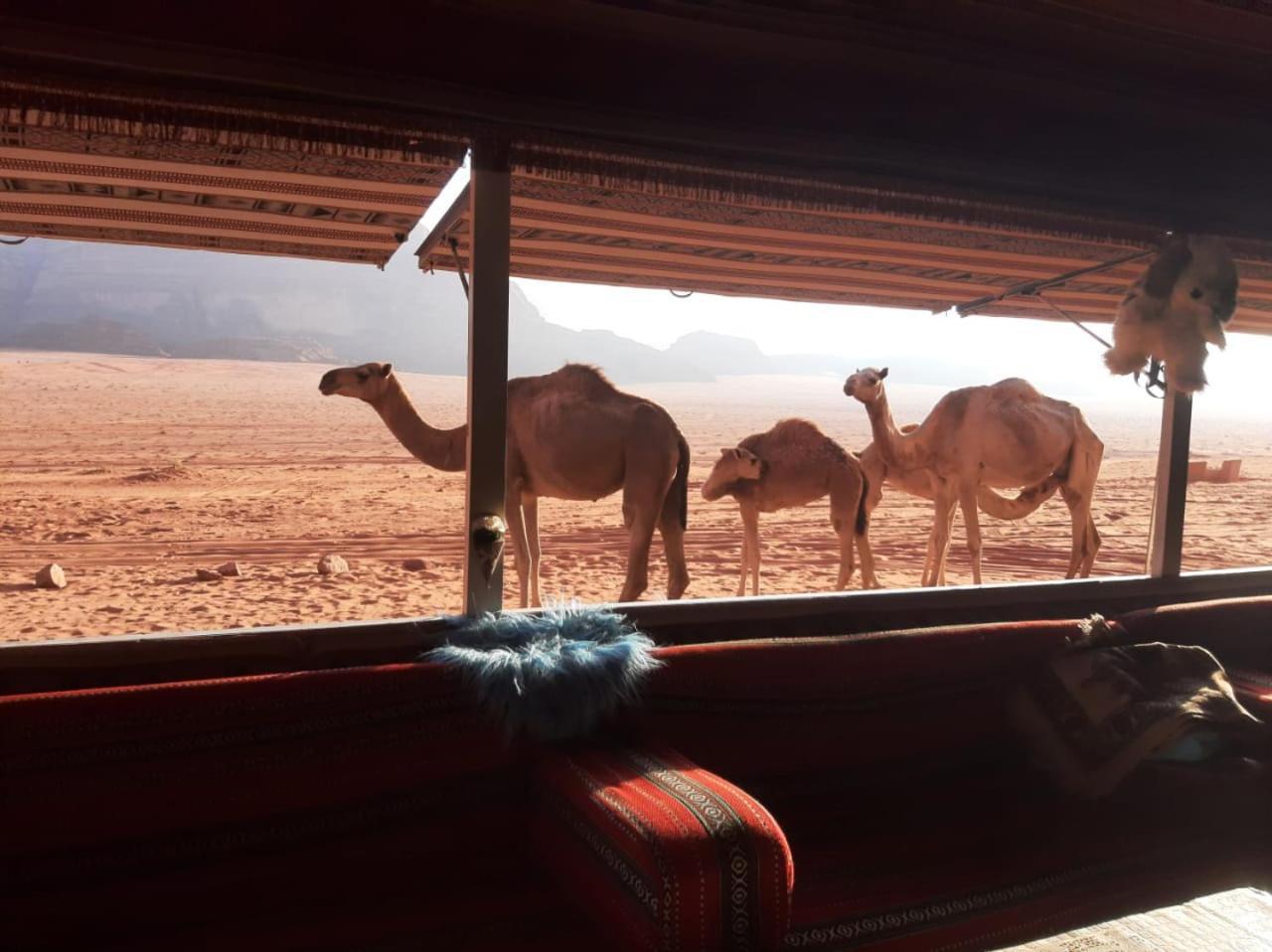 Hotel Omar Ghazi Camp Wadi Rum Exterior foto
